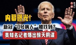美国著名记者爆料视频,美国记者爆料视频深度解析