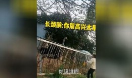 爆笑大哥爆料视频网站,热门视频网站幕后趣事大曝光！