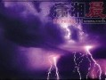 重庆大雨网最新爆料新闻,市区多处积水，最新爆料直击现场