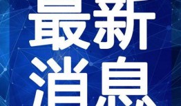 白鹭夺宝最新爆料视频在线观看,揭秘宝藏背后的神秘力量